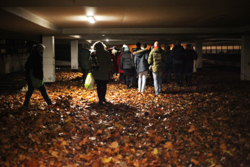 A group of people walking on leaves as part of the Becoming Fungi event