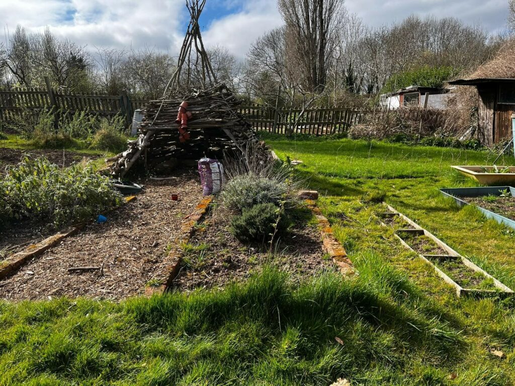 A picture of an allotment, connecting with nature